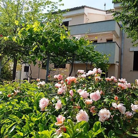 Apartman Adrijana Kastav, Free Wifi & Parking, 2 Bedrooms & Sea View 외부 사진