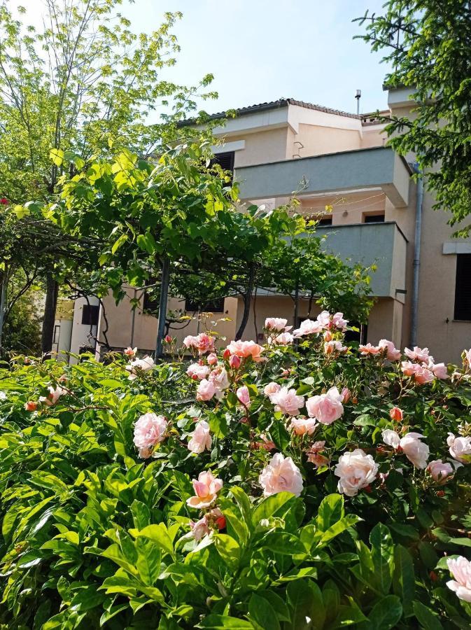 Apartman Adrijana Kastav, Free Wifi & Parking, 2 Bedrooms & Sea View 외부 사진